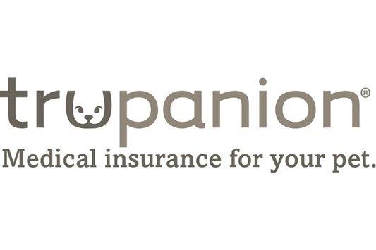 Pet Insurance | 3 Paws Kitchen