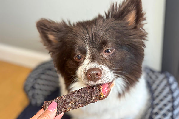 Single Ingredient Dog Treats