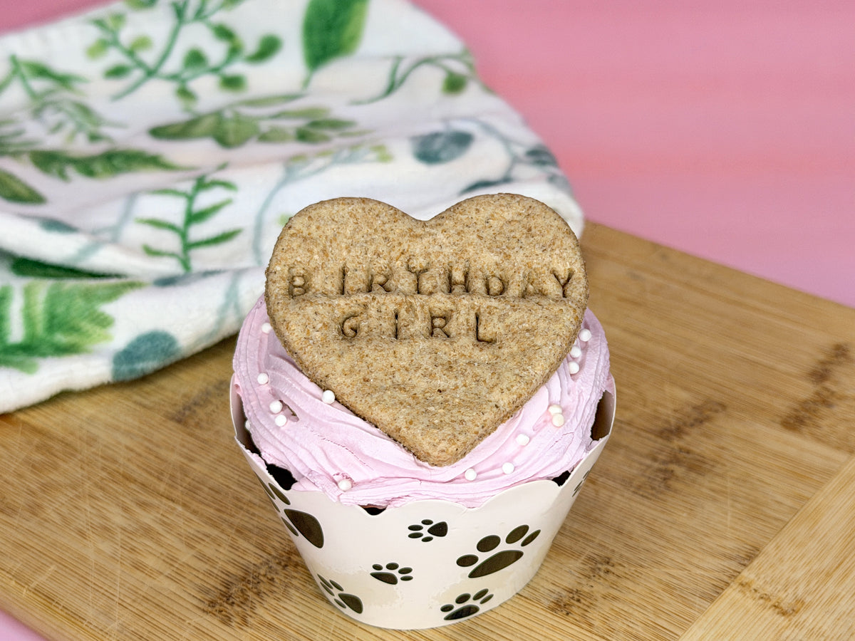 Dog Birthday Cupcake Gift Box | Gourmet Gotcha Day Dog Treat