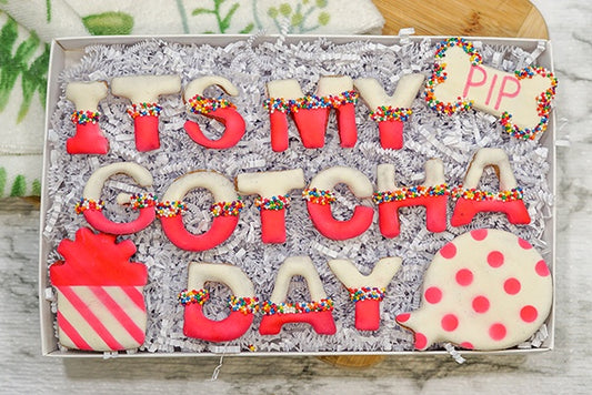 Custom Dog Adoption Box | Welcome Home It's My Gotcha Day Dog Treat Cookie Gift Box