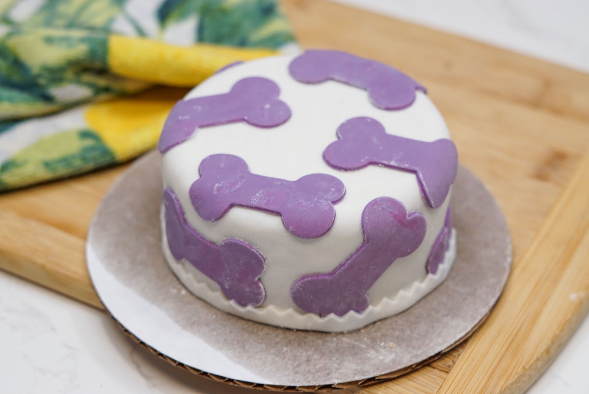 4-inch dog birthday cake size comparison showing a small handmade cake for dogs