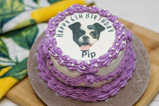 Custom Vintage Dog Birthday Cake with Photo | 4-inch Personalized Healthy Dog Birthday Cake