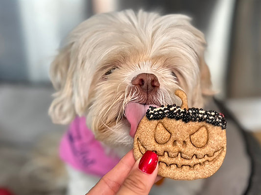Halloween Jack-O-Lantern Pumpkin Dog Treats - 6 Natural Pumpkin Cookies for Dogs