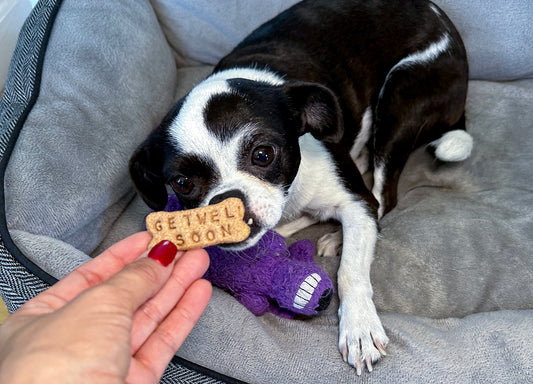 Get Well Soon Limited Ingredient Healthy Dog Treats- Mason Jar Pet Gift for dogs-allergy friendly