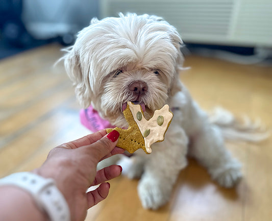 Healthy Fall Dog Treat- Turmeric & Pumpkin Leaf Biscuits- Dog Lover Gift