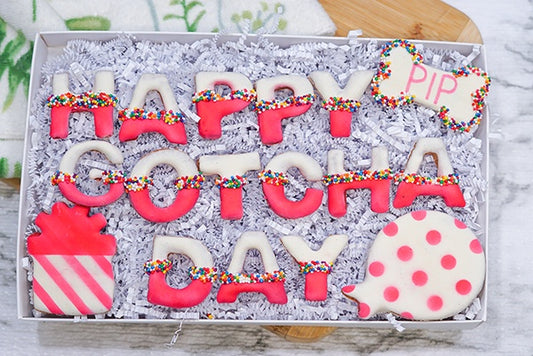 Custom Dog Adoption Box | Welcome Home Happy Gotcha Day Dog Treat Cookie Gift Box