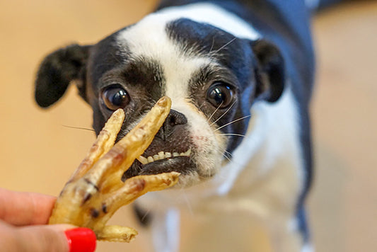 Dog Treats- 100% All Natural Dehydrated Single Ingredient Chicken Paws Feet Jerky-for dogs, cats & small animals, Nails clipped