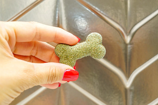 Healthy Spirulina Dog Treats- Crunchy Training Treats- Dog Lover Gift