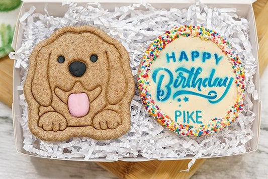 Custom Dog Birthday Box | Dog Treat 2 Cookie Gift Box
