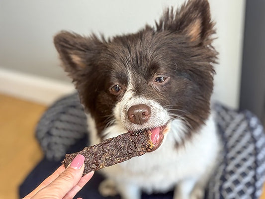 93% Lean Ground Beef Dog Jerky – All-Natural, Single Ingredient Treats