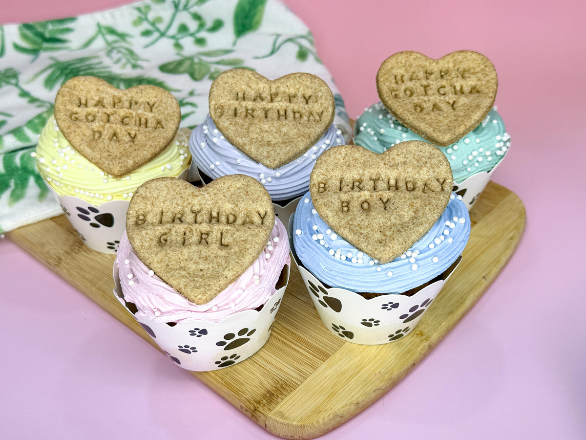 Dog Birthday Cupcake Gift Box | Gourmet Gotcha Day Dog Treat