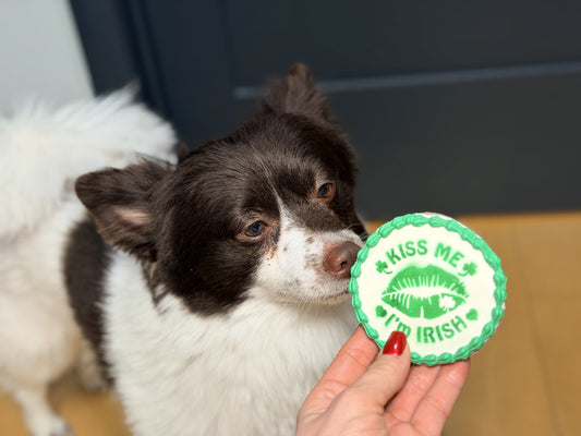 St. Patrick’s Day Dog Treat Gift Box – Kiss Me Irish Cookie