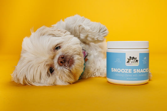 3 Paws Kitchen Snooze Snacks - Calming Chews for Dogs with Melatonin, L-theanine, Valerian Root & Chamomile (120 Soft Chews)