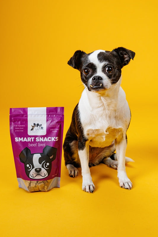 3 Paws Kitchen Smart Snacks Freeze Dried Beef Liver Dog Treats, Single Ingredient, Natural