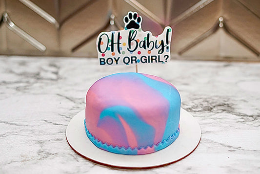 Gender Reveal Dog Cake | Pink or Blue Inside | Healthy Celebration Cake for Dogs