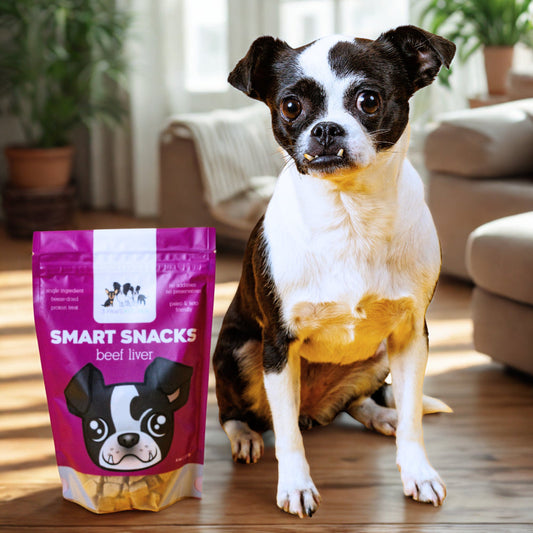 Are Freeze-Dried Beef Liver Treats Healthy for Dogs?