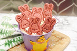 Healthy Easter Spring Dog Treats Bunny and Carrot shaped Cookies- Dog lover gift basket