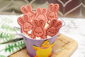 Healthy Easter Spring Dog Treats Bunny and Carrot shaped Cookies- Dog lover gift basket