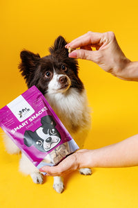 3 Paws Kitchen Smart Snacks Freeze Dried Beef Liver Dog Treats, Single Ingredient, Natural