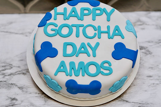 Dog Birthday Cake Treat 6” inch Personalized Gotcha Day Cake Pet Lover Gift