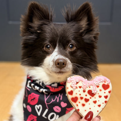 Valentine Dog Gift Set – 6 Heart Cookies + Red Bandana, 4-Ingredient Treats