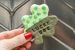 Spirulina  Healthy Dog Treats- Dog lover gift