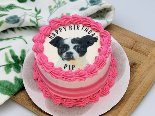 Custom Dog Birthday Cake with Photo – 4” Vintage Style Puppy Cake