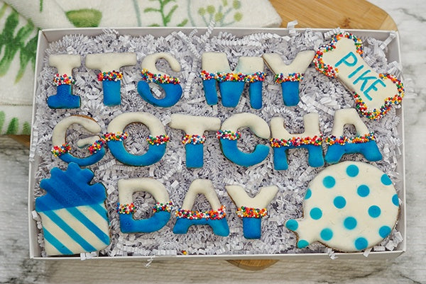 Custom Dog Adoption Box  | Welcome Home It's My Gotcha Day Dog Treat  Cookie Gift Box
