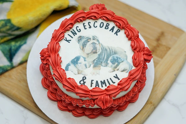 Custom Birthday Photo Portrait Vintage Dog Cake Treat 4" inch Personalized Pet Gift for Dog Lovers