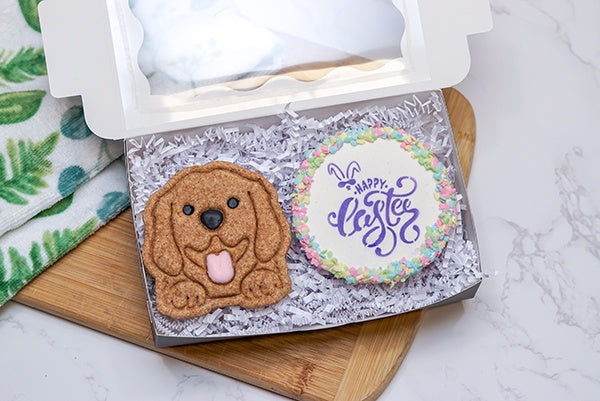 Healthy Easter Spring Dog Treats Gift box Cookies- Dog lover gift