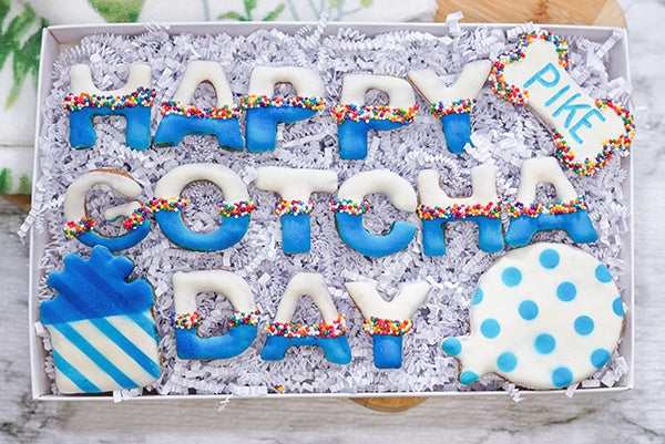 Custom Dog Adoption Box  | Welcome Home Happy Gotcha Day Dog Treat  Cookie Gift Box