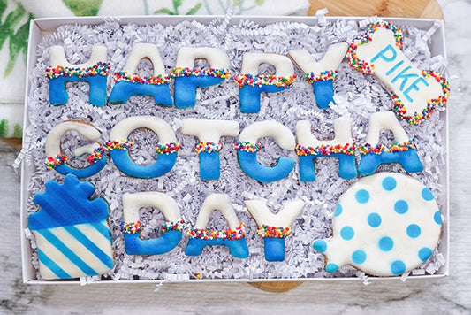 Custom Dog Adoption Box  | Welcome Home Happy Gotcha Day Dog Treat  Cookie Gift Box