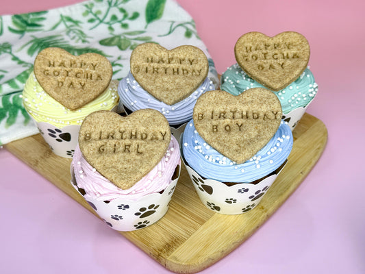 Dog Birthday Cupcake Gift Box | Gourmet Gotcha Day Dog Treat