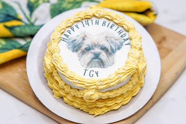 Custom Photo Portrait Vintage Dog Birthday Cake Treat 4" inch Personalized Pet Gift for Dog Lovers