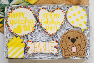 Custom Dog Adoption Box  | Welcome Home Happy Gotcha Day Dog Treat 6 Cookie Gift Box