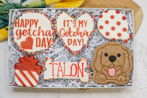 Custom Dog Adoption Box  | Welcome Home Happy Gotcha Day Dog Treat 6 Cookie Gift Box