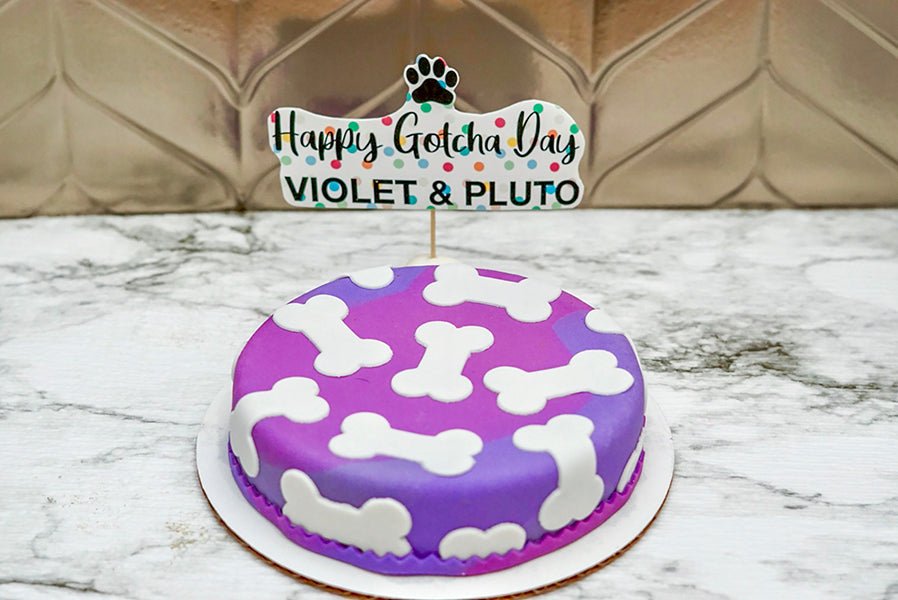 3 Paws Kitchen Dog Cake- 6" Bone Tie Dye Cke - 3 Paws Kitchen