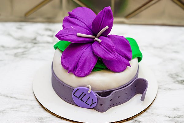 3 Paws Kitchen Dog Cake- Custom Designed Cake - 3 Paws Kitchen