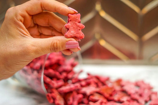 3 Paws Kitchen Dog Treats- Vegan Beet & Banana Training Treats - 3 Paws Kitchen