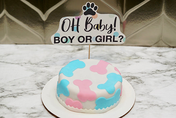 Gender Reveal Dog Cake | Pink or Blue Inside | Healthy Celebration Cake for Dogs