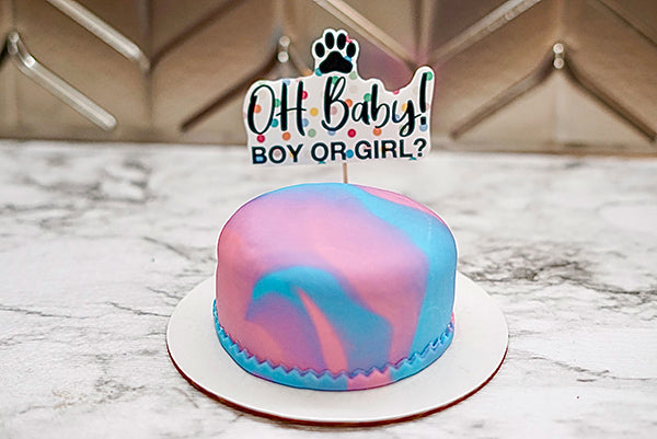 Dog Gender Reveal  Birthday Cake Treat 4" inch Peanut Butter & Banana Personalized Pet Gift for Dog Lovers