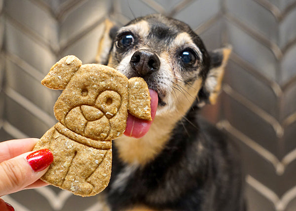 Healthy Dog Treats "Cheesy" Apple Pups Pet Gift for Dog Lovers