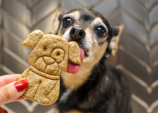Healthy Dog Treats "Cheesy" Apple Pups Pet Gift for Dog Lovers