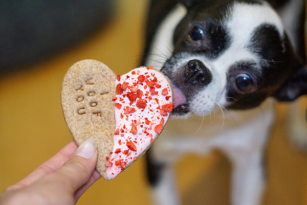 Valentine's Day Healthy Dog Treats Strawberry Dipped Heart Cookies- Dog lover gift