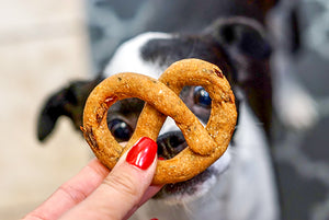 Healthy Dog Treats-New York City Pizza Pretzels- Dog Lovers gift- Allergy friendly