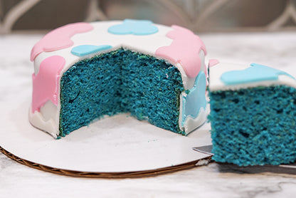 Gender Reveal Dog Cake | Pink or Blue Inside | Healthy Celebration Cake for Dogs