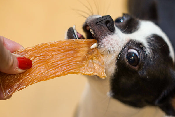 Dog Treats- 100% All Natural Dehydrated Single Ingredient chicken Jerky-for dogs, cats & small animals