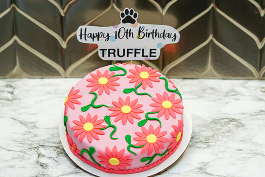 Custom Designed Dog Birthday Cake Treat 4 or 6” inch Personalized Pet Gift for Dog Lovers