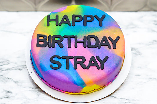 Dog Birthday Cake Treat 6" inch Tie Dye Design Personalized Pet Gift for Dog Lovers